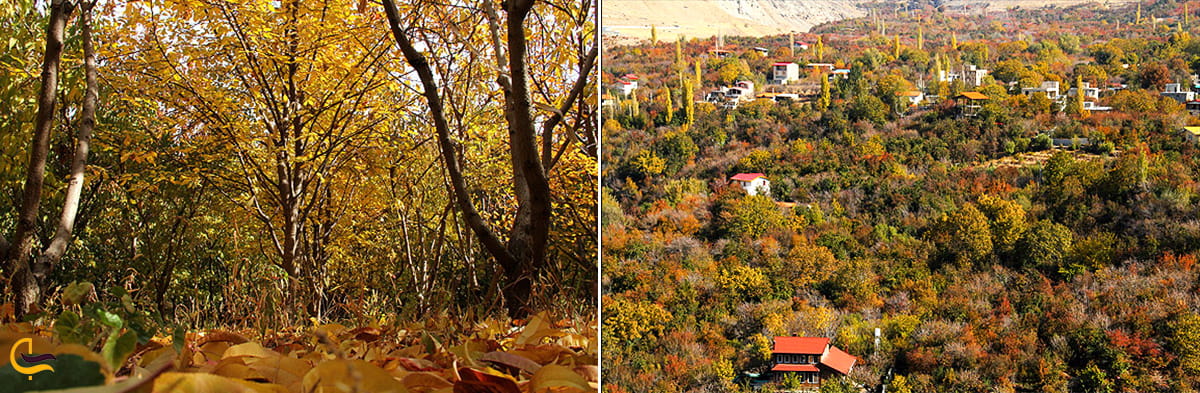 پاییز زیبا در روستای ارنگه