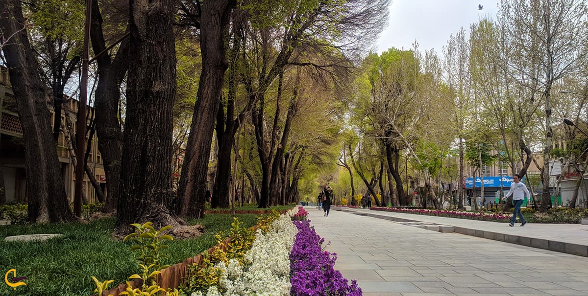 تصویر بسیار زیبای گل های بهاری در خیابان چهارباغ عباسی