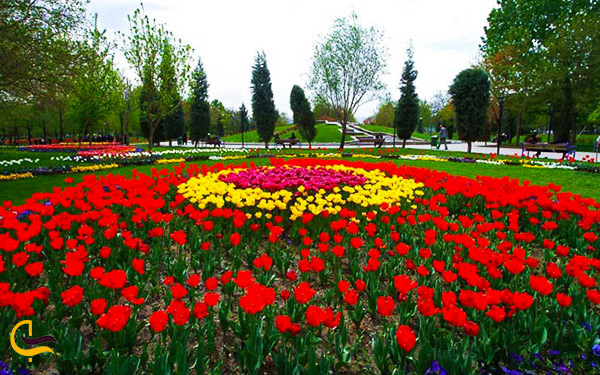 میدان گل لاله های رنگی باغ گیاه شناسی مشهد