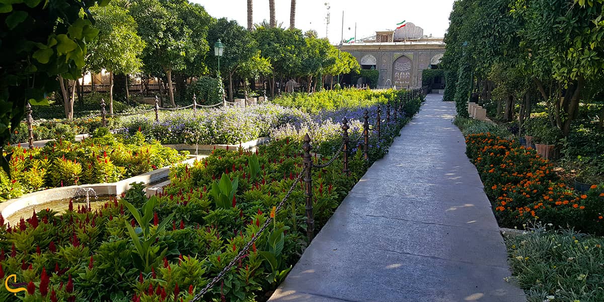 تصویر بسیار زیبای فضای سبز در باغ نارنجستان قوام
