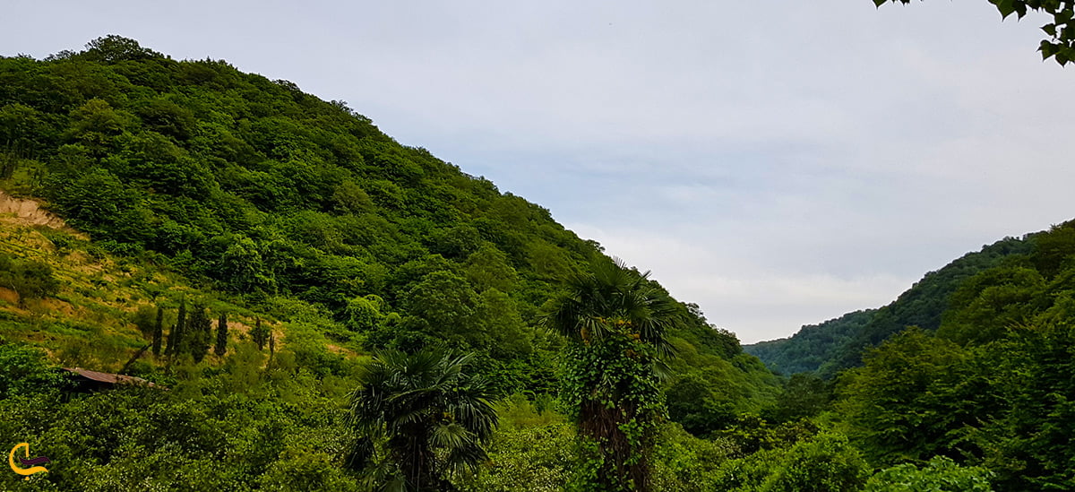 نگین سبز استان گلستان