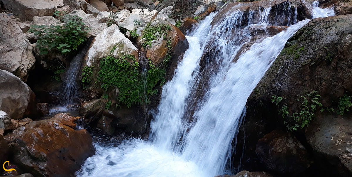 خوشگذرانی در طبیعت آبشار مارگون و بهترین خاطرات سفر به فارس