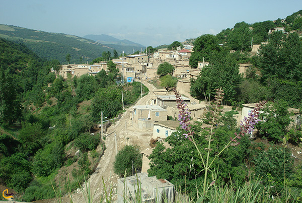 دشت شقایق گالیکش در اطراف روستای سرسبز پادلدل