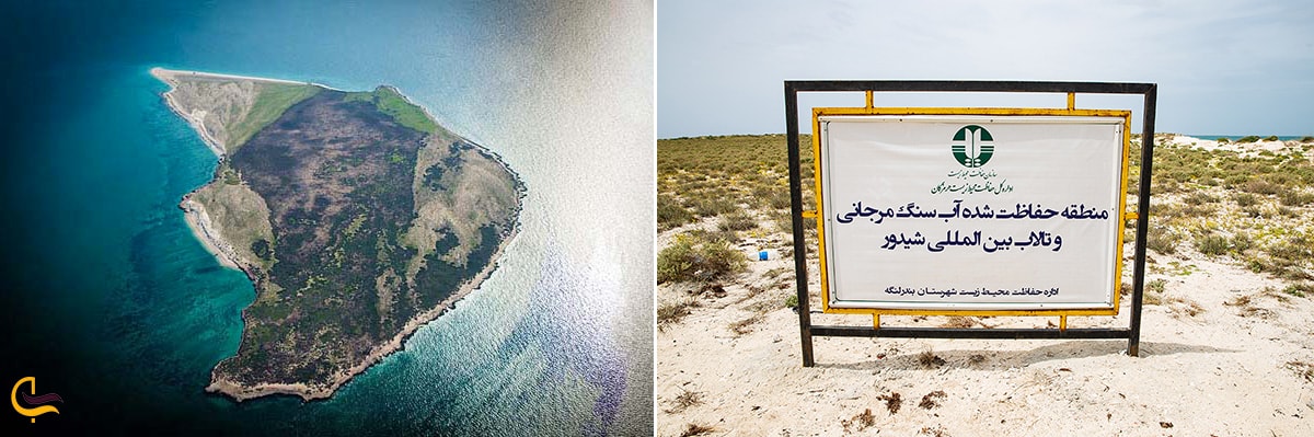 منطقه حفاظت شده جزیره شیدوَر