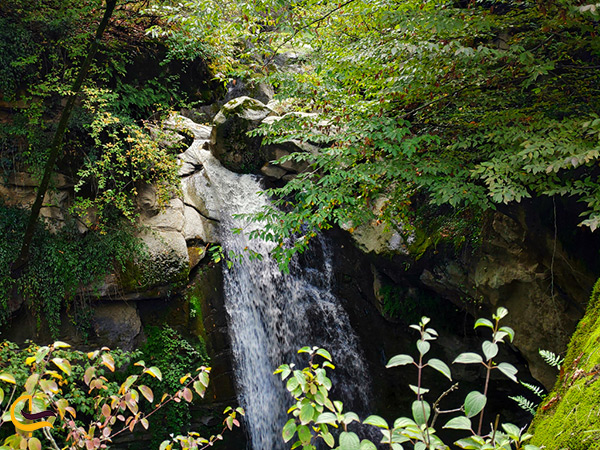 آبشار زیبای روستای ساسنگ طبیعت دنج مینودشت