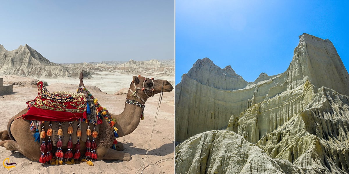 گالری تصاویر از کوه های مینیاتوری