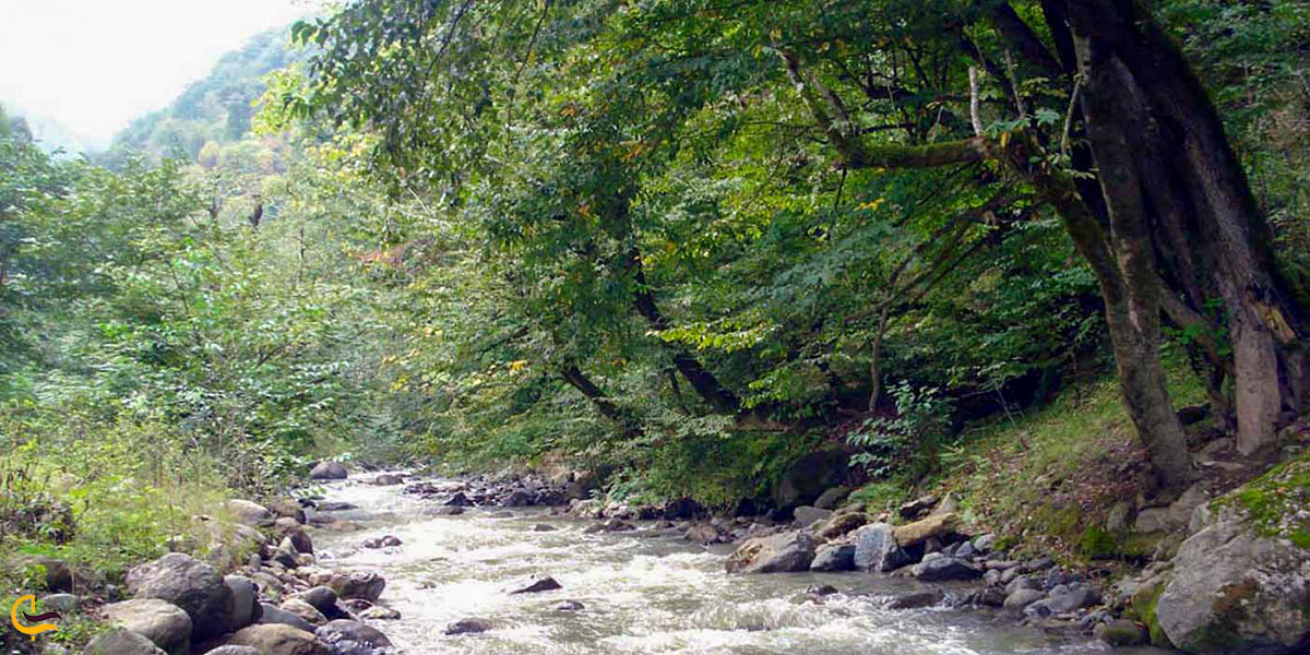 رودخانه مرغک در نزدیکی ماسال