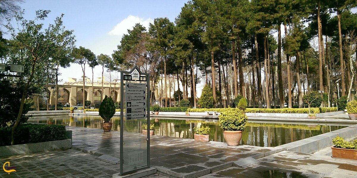 درختان باغ چهلستون