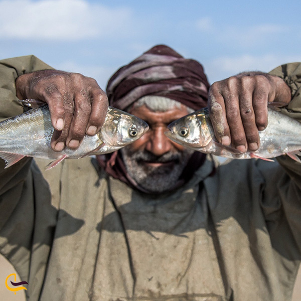 عکسی از مرد ماهیگیر جنوبی با ماهی های صید شده‌اش