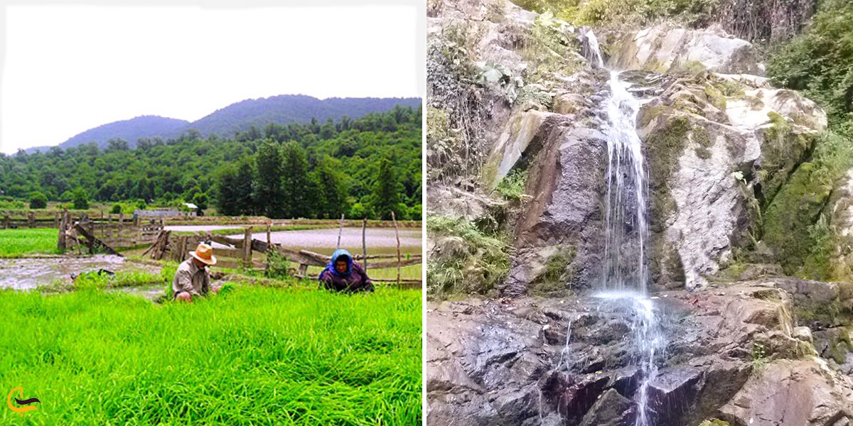 تصویری از آبشار و زمین های کشاورزی زوستای نوکنده