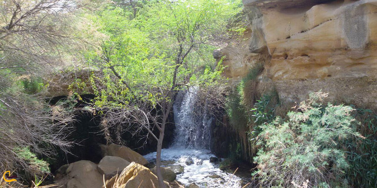 چشمه زیرراه جاذبه طبیعی برازجان