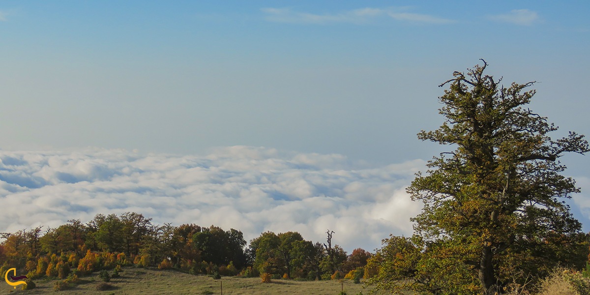 نمایی زیبا از منظره روستای ذرازنو