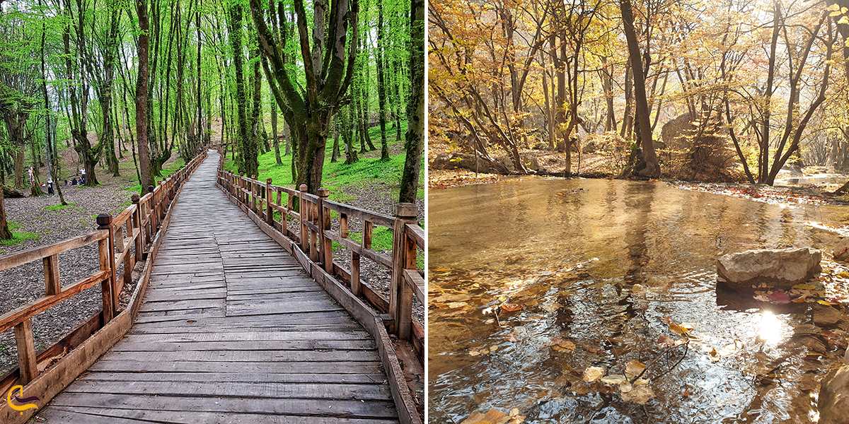 تصویری از طبیعت النگدره