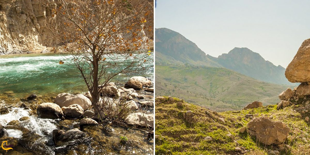 تصویری از منطقه شکار ممنوع کوه بدیل