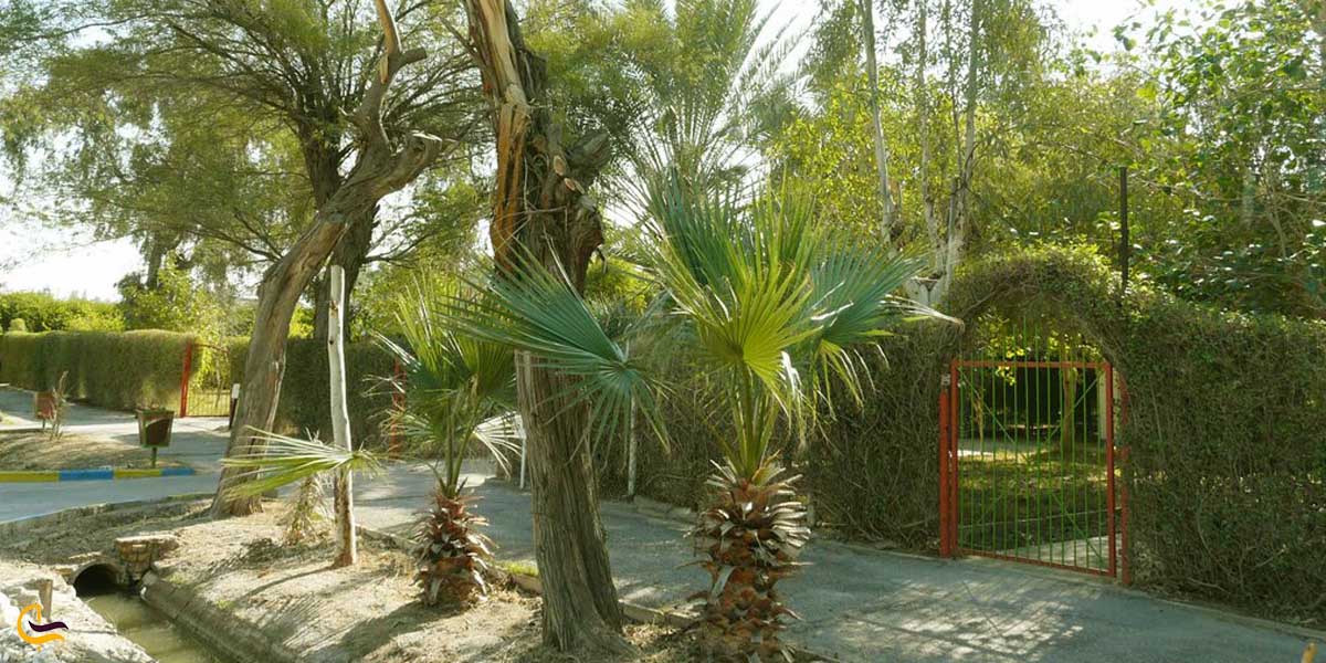 مدیران شرکت نفت 