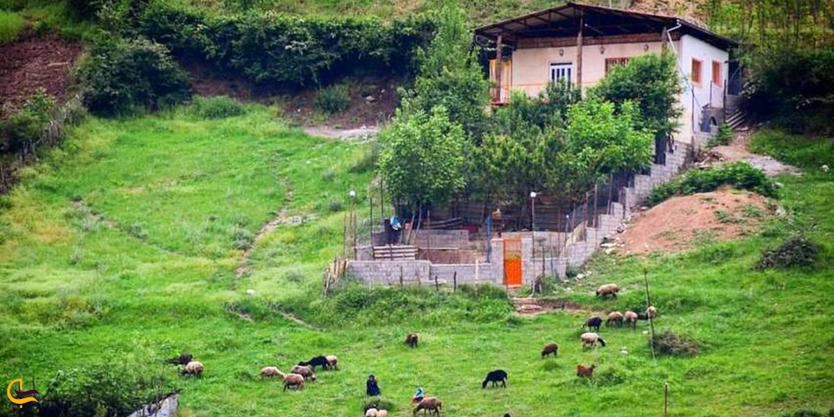 گالش نشینی در شمال ایران
