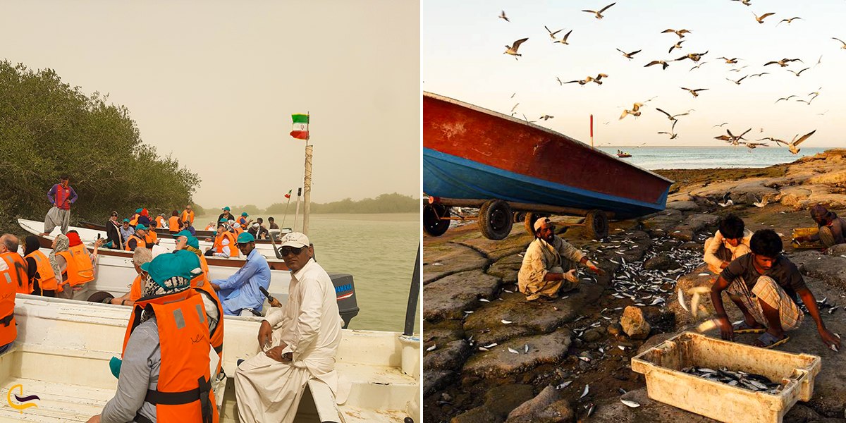 تصویری از منابع درآمد مردم خلیج گواتر