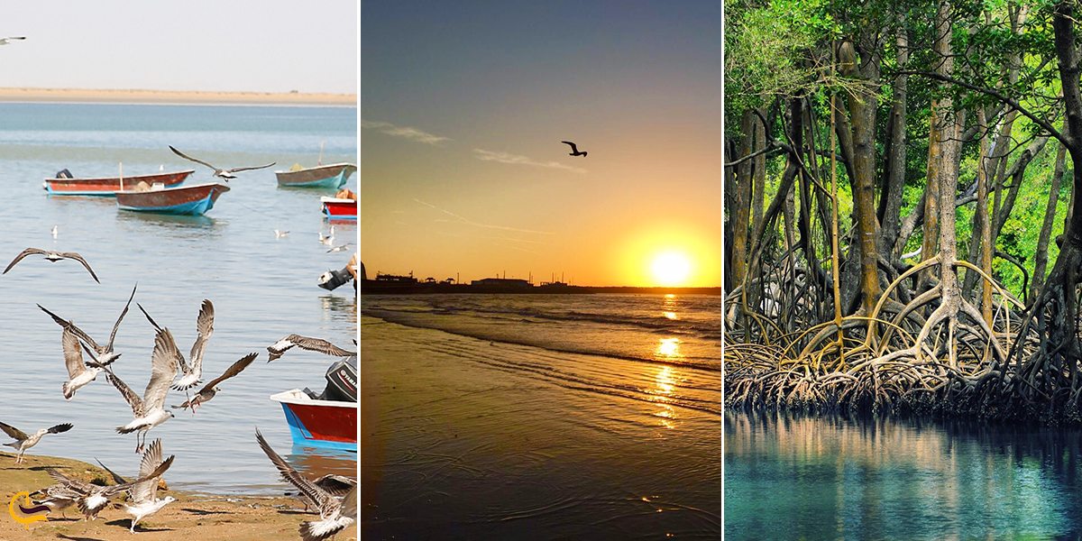 تصویری از سه جاذبه گواتر