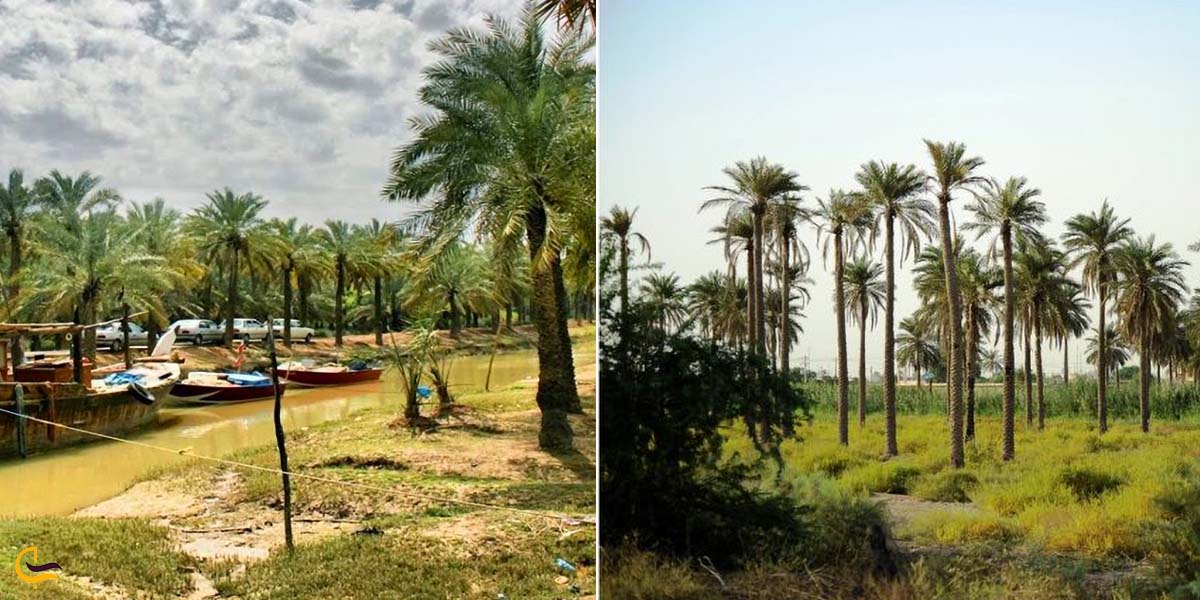 جزیره مینو مقصد گردشگری جنوب