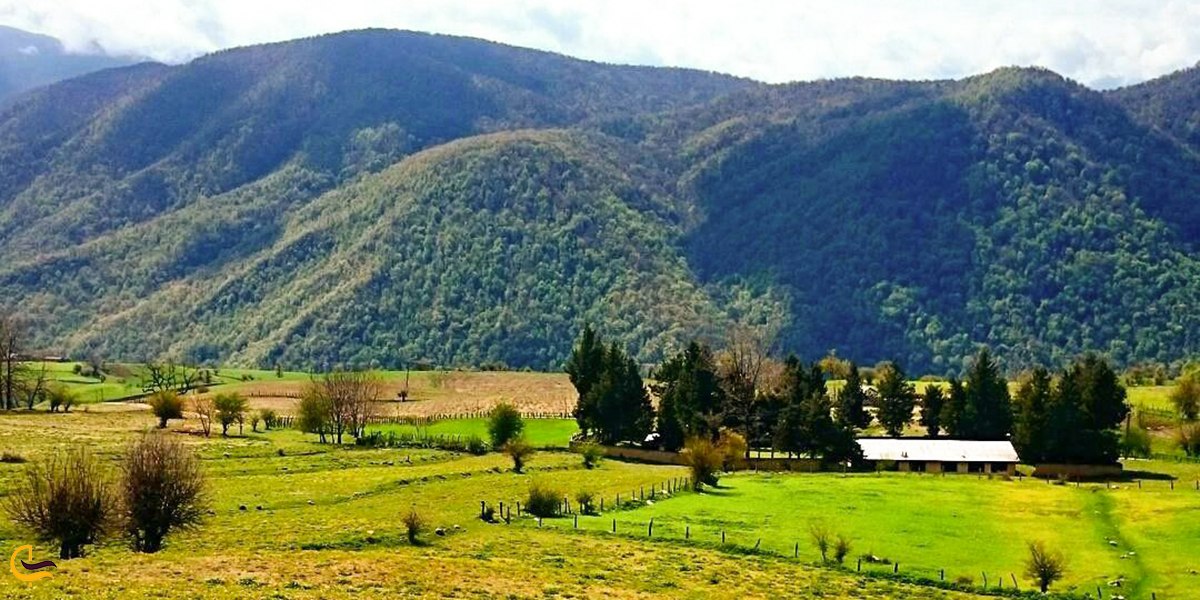 نمایی زیبا از طبیعت سر سبز روستای نوکنده