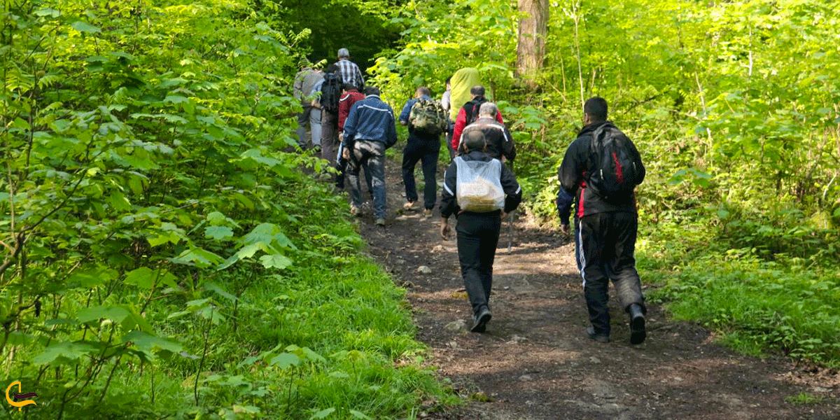 تفریح و جنگل نوردی در روستای زیبای زیارت