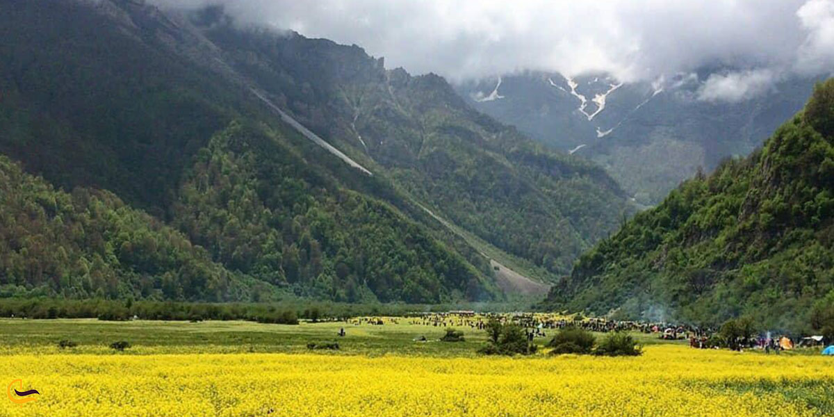 جنگل دوهزار - دشت دریا سر