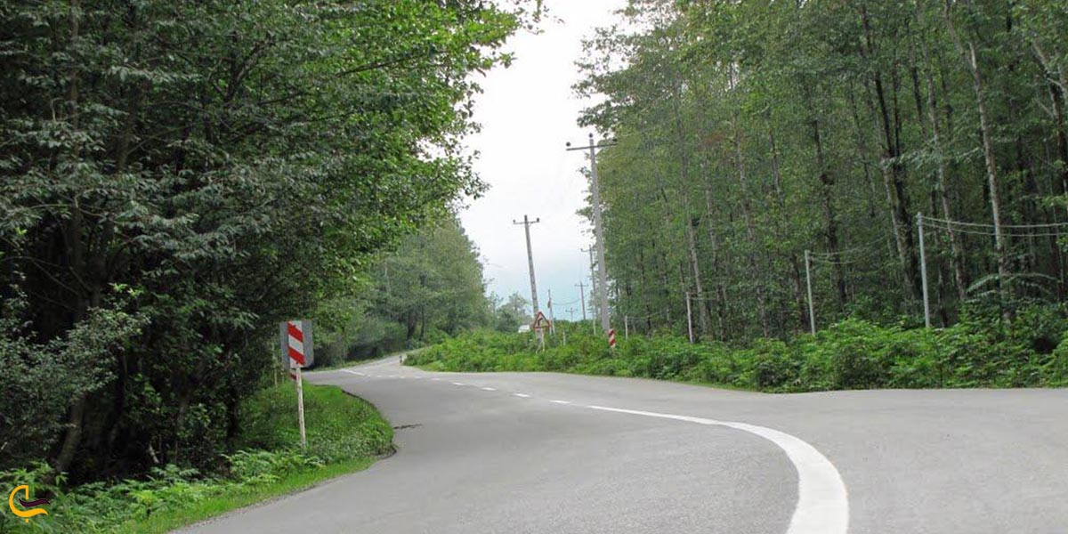 جاده جنگل دوهزار