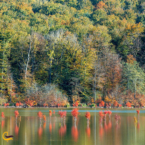 طبیعت پاییزی دریاچه الندان