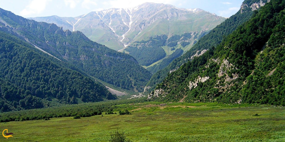 تصویر سرسبز و باصفای جنگل دوهزار تنکابن