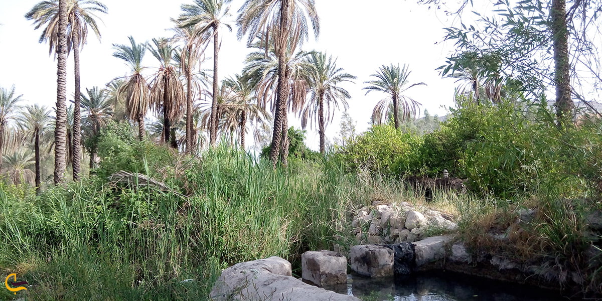 طبیعت فوق العاده زیبای شهرستان جهرم