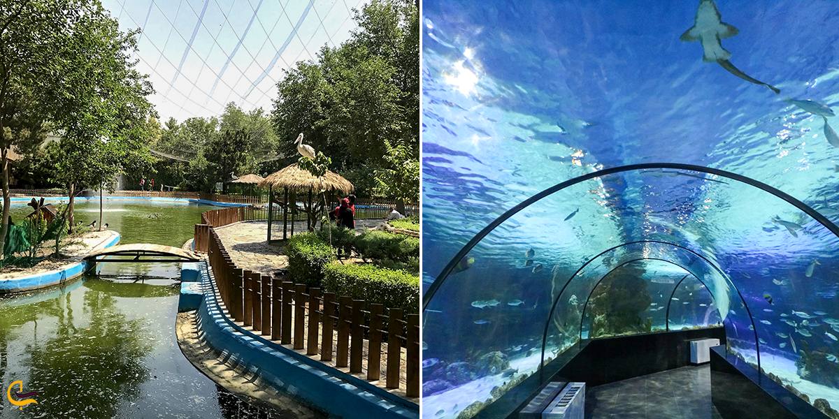 تصویری از باغ پرندگان وآکواریوم در اصفهان