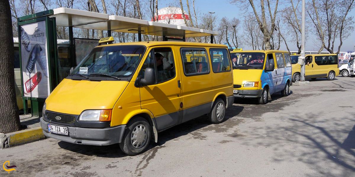 تصویری از دلموش های استانبول