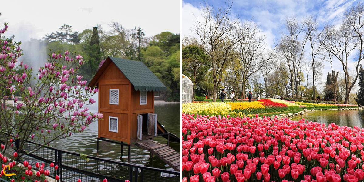 تصویری از پارک های زیبای شهر استانبول