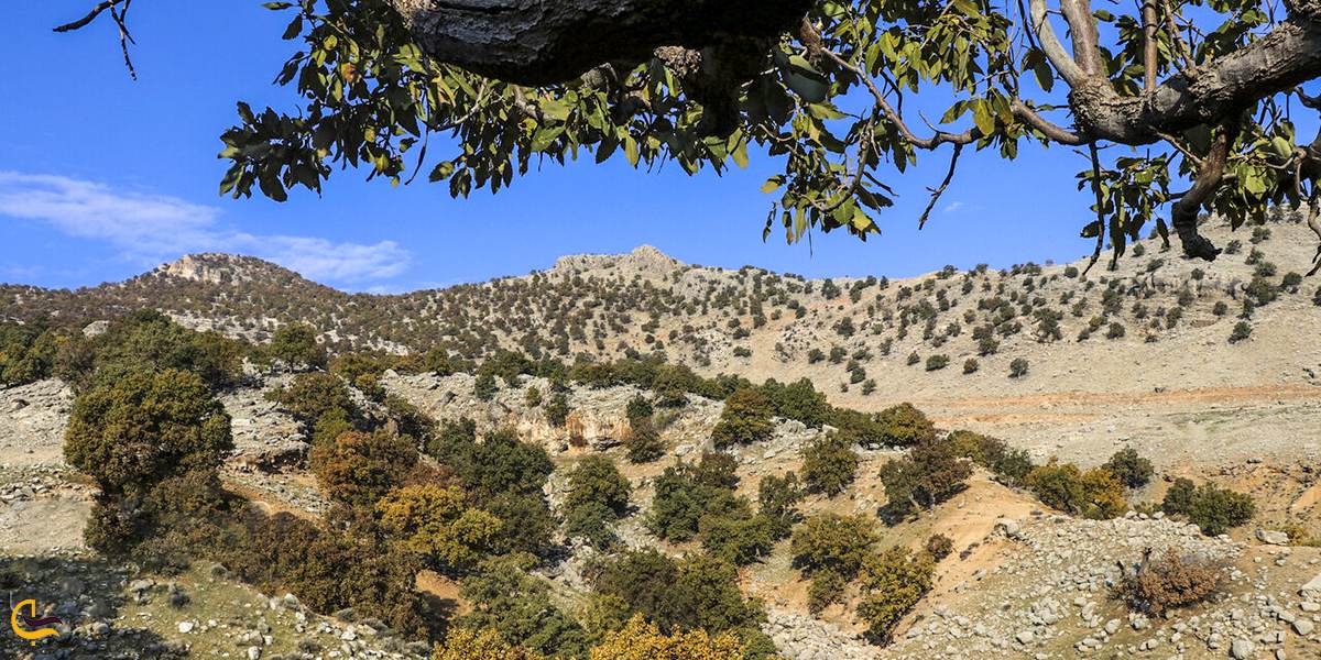 نمایی از طبیعت کهنوج