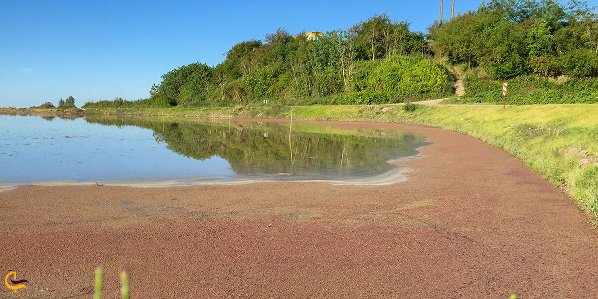 نمایی از طبیعت شهر آمل