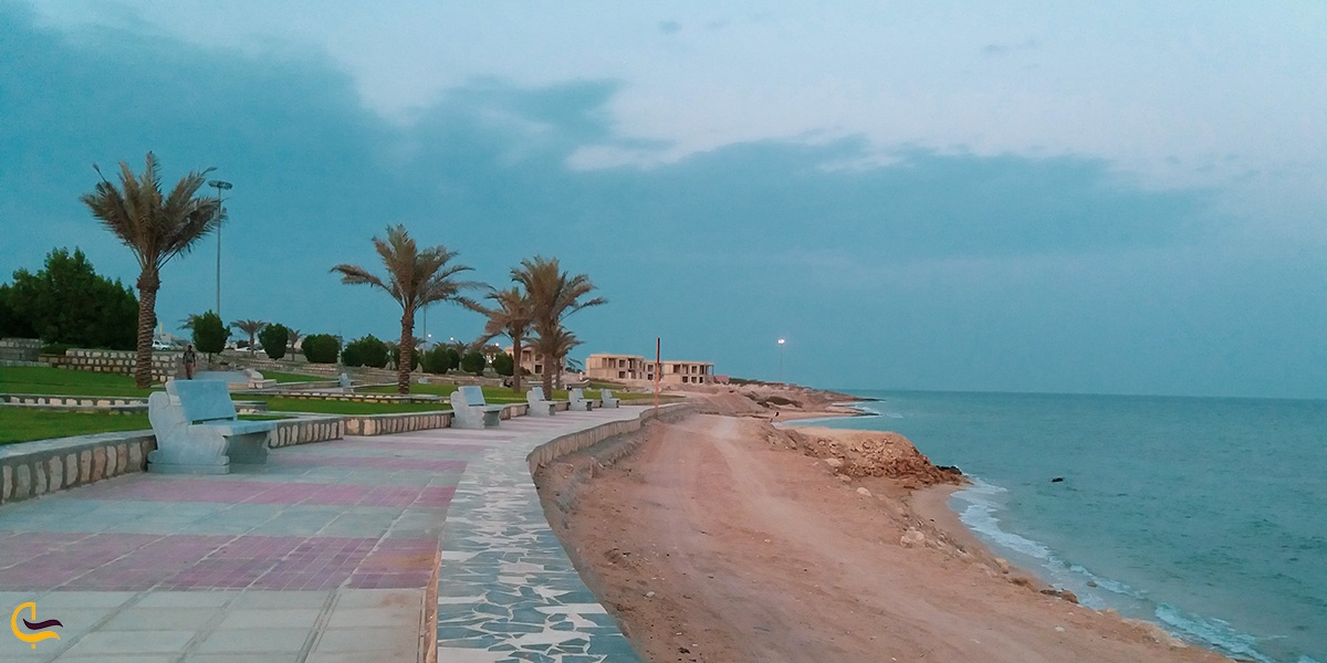 تصویری زیبا از بوستان ساحلی زیتون