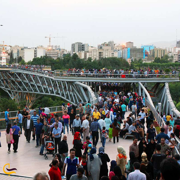 پیاده روی روی پل طبیعت تهران