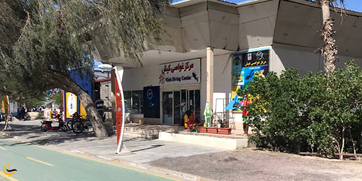 همه چیز درباره ی بهترین مرکز غواصی در کیش
