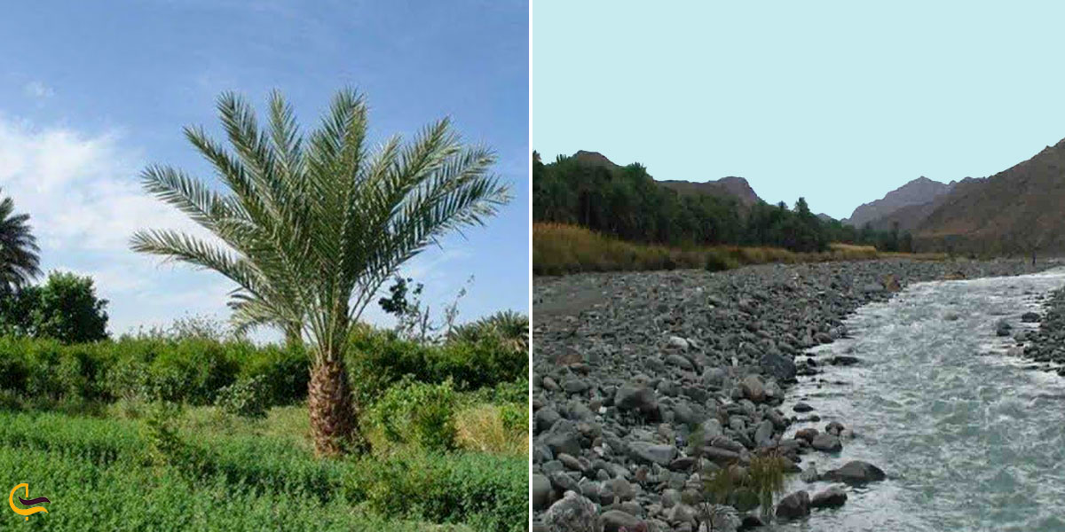 تصویری از منطقه گردشگری بلپیر