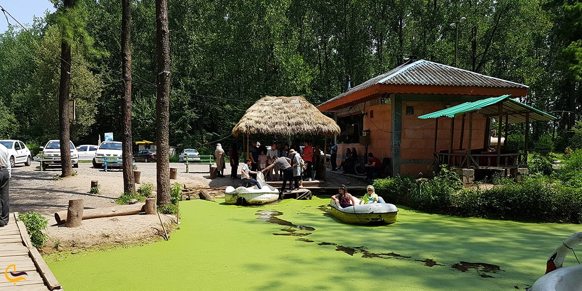 قایق سواری در دریاچه پارک جنگلی سراوان