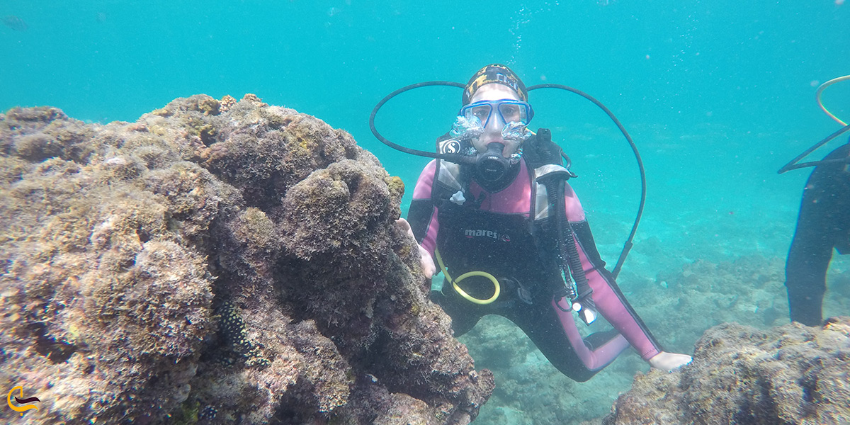 قوانین و شرایط غواصی در جزیره ی کیش