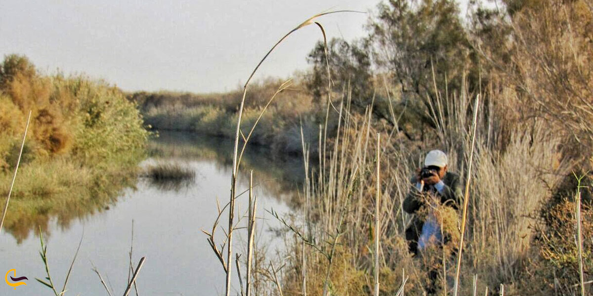 تصویری از تالاب هله