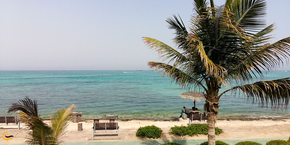 نمایی از ساحل مرجان