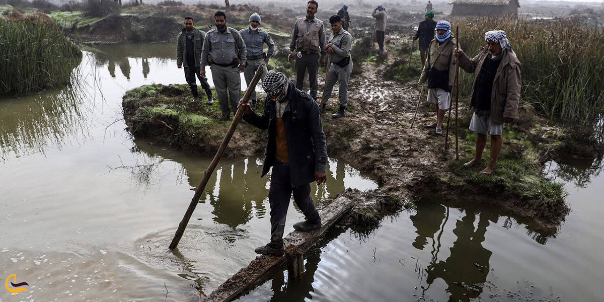 تصویری از کشاورزان در کنار تالاب