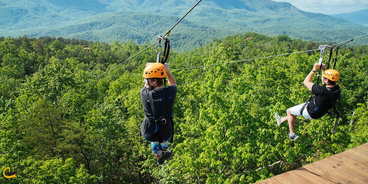 زیپ لاین هیجان انگیز ارمنستان