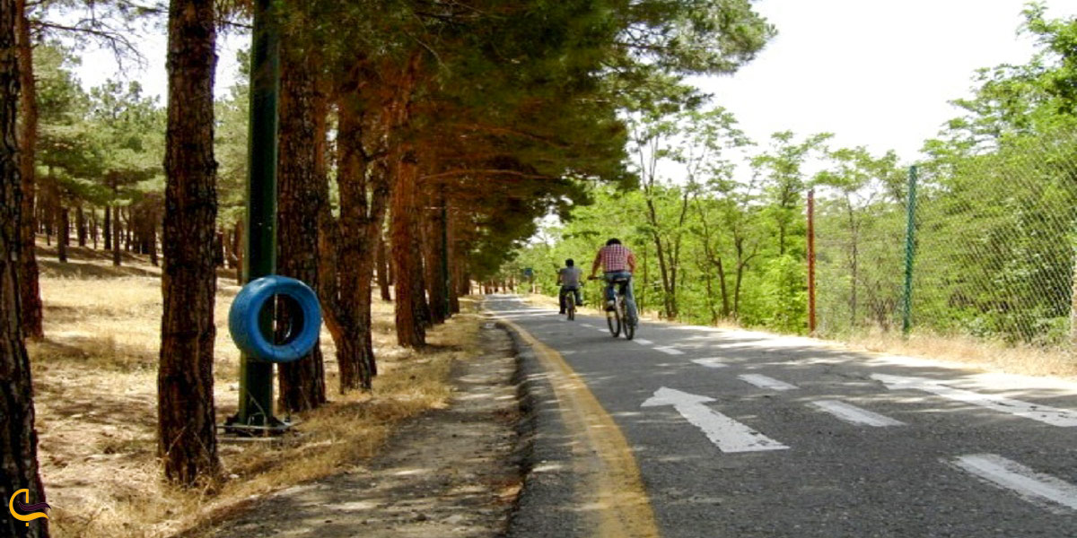 نمایی از پارک جنگلی چیتگر