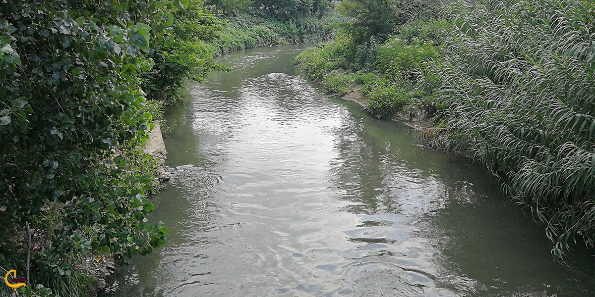رودخانه گوهردشت رشت