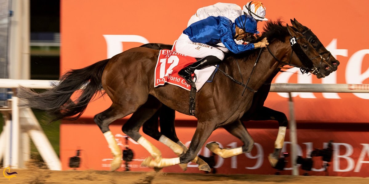 جام جهانی اسب دوانی در دوبی