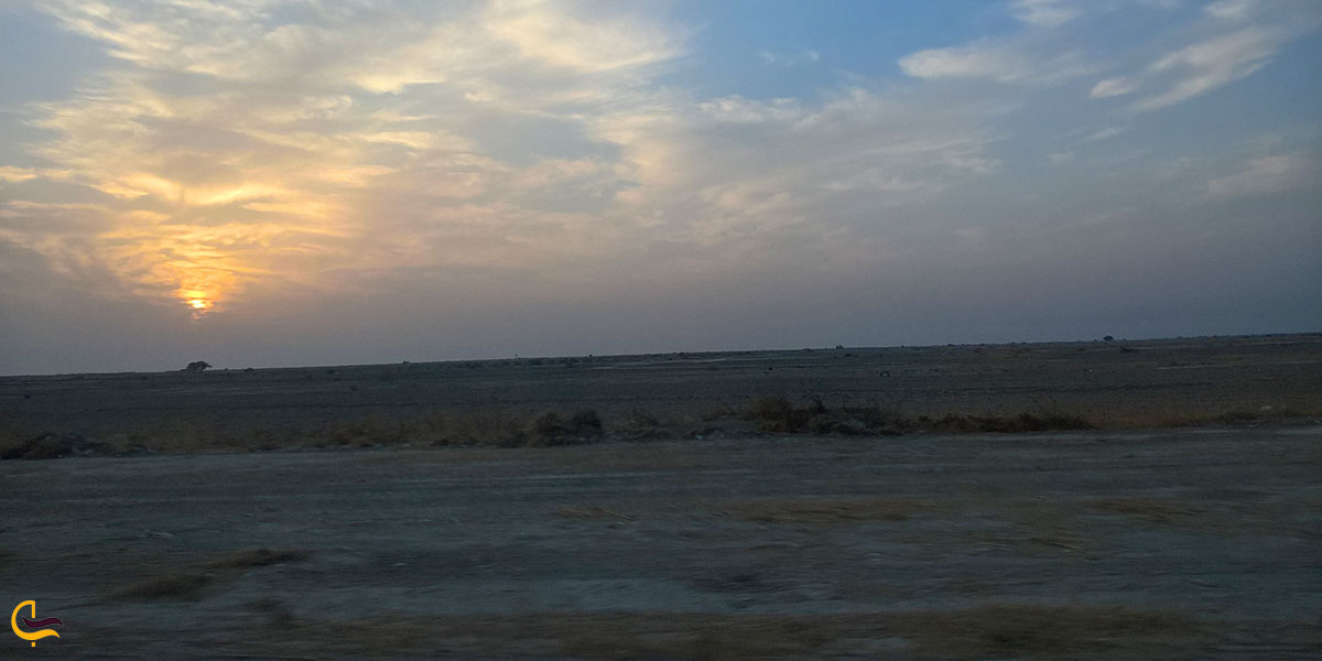 تصویری از غروب آفتاب در تالاب حله