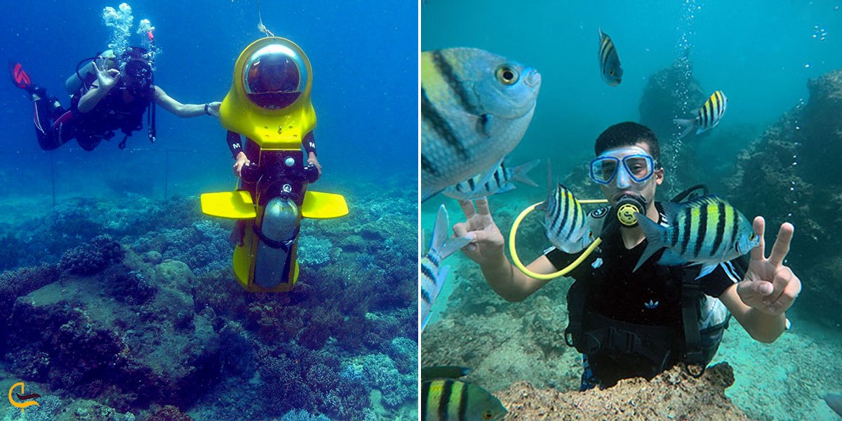 تصویری از تفریحات زیر دریایی کیش